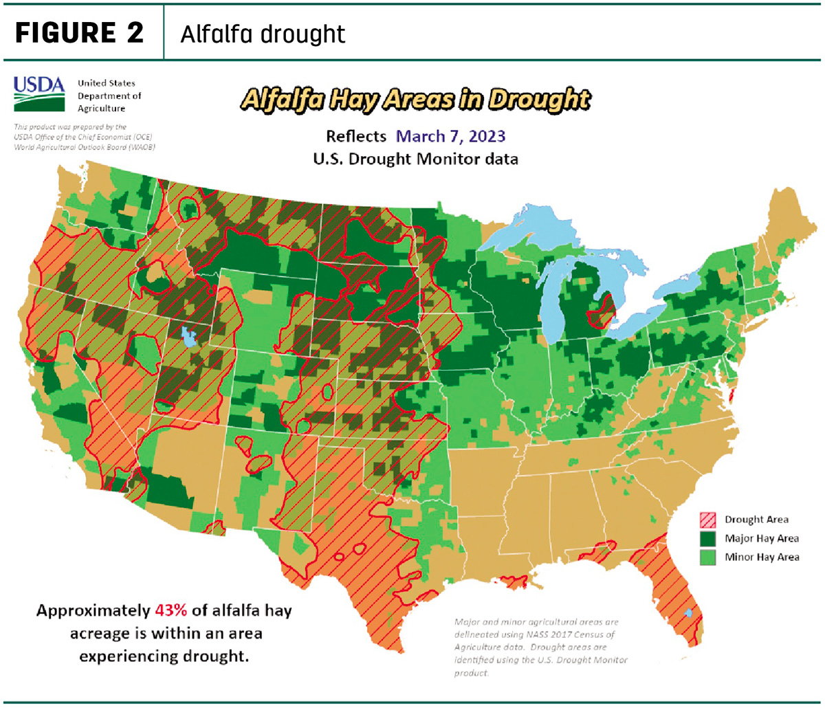 57161-natzke-alfalfa-drought-fg2.jpg