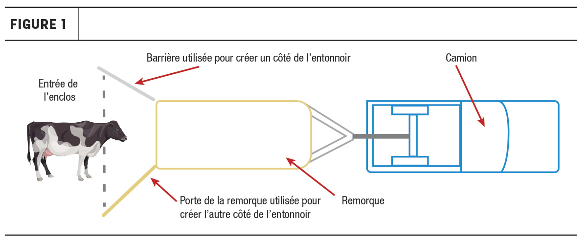 57149-decooman-FR.fg1.jpg
