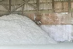57179-dado-cottonseed-1.jpg