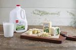 57266-coyne-milk-cheese.jpg