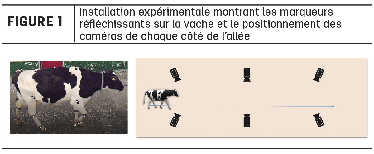 57132-french-research-review-figure1.jpg