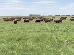 57344-thomas-pasture.jpg