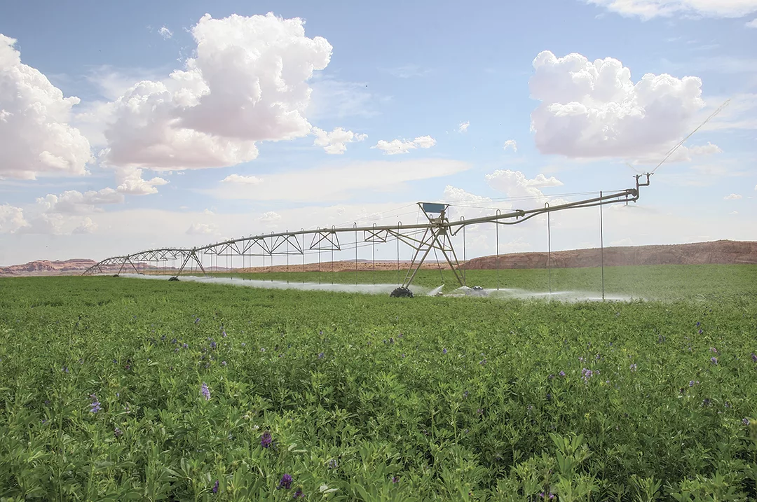 57280-sawyer-pivot-alfalfa-staff.jpg