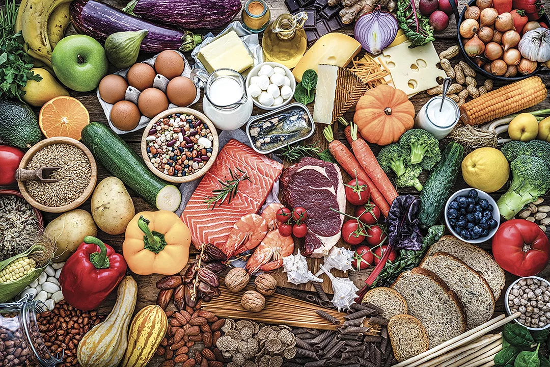 57359-payn-food-nutrition.jpg