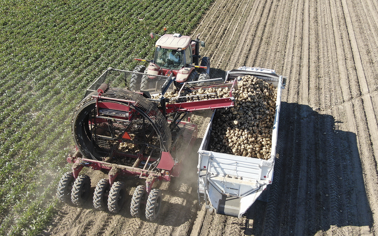57468-parrott-villafana-farms.jpg