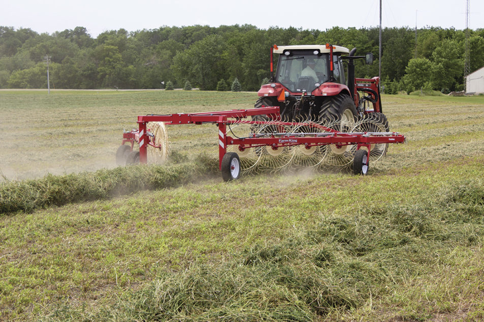 Hay and Haylage: what's the difference?