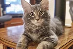 0123FR-bender-1.jpg