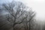 0123FR-olson-1.jpg