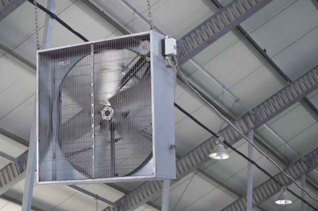 57723-veeneman-fan.jpg