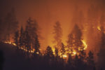 57743-bruce-wildfire.jpg