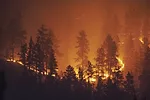 57743-bruce-wildfire.jpg