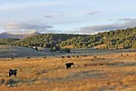57769-ellison-range.jpg