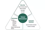 57794-rowson-clinical-salmonellosis.jpg