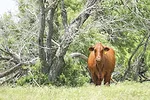 57787-marchant-dsc02049.jpg