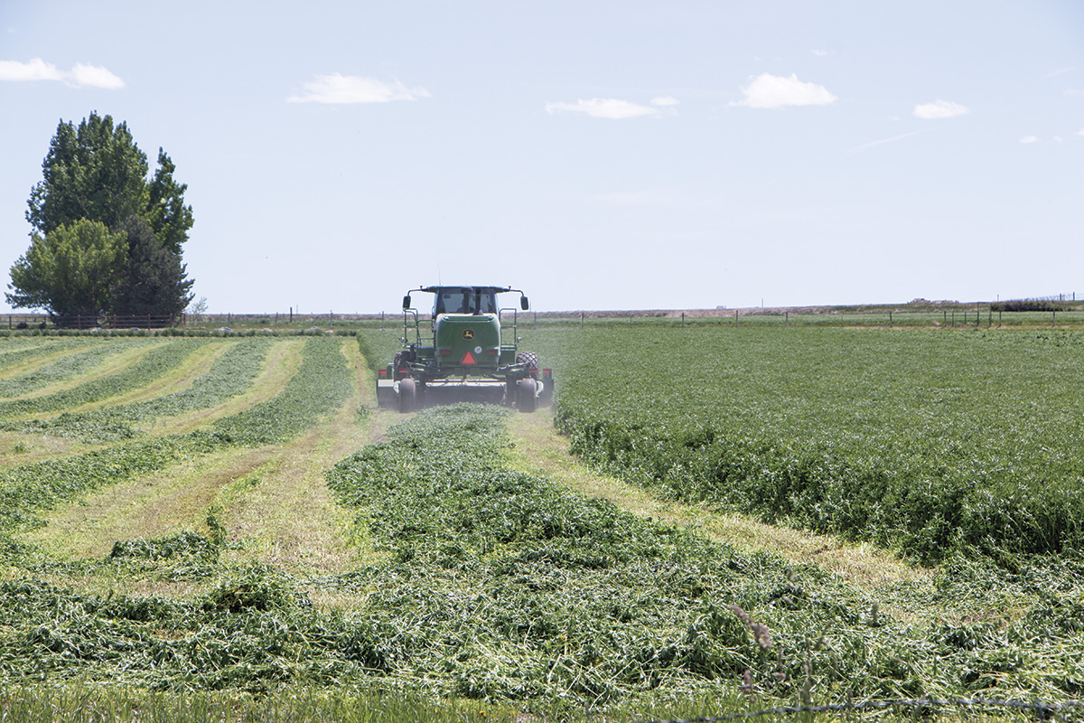 57814-meccage-mowing.jpg