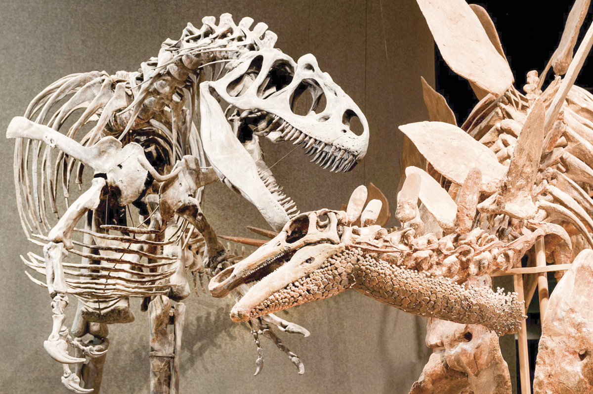 57916-jaynes-dinosaur.jpg