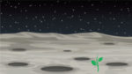 57961-dennis-plant-on-moon-getty.jpg