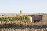 57477-schmidt-silage.jpg
