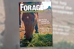 0823pf-digital-edition-feature-spot.jpg