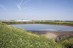 58189-jcoyne-liquid-manure-staff.jpg