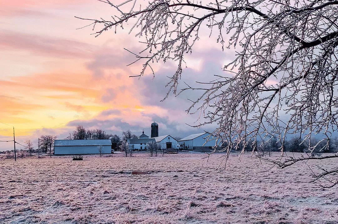 58361-cloutier-winter.gif