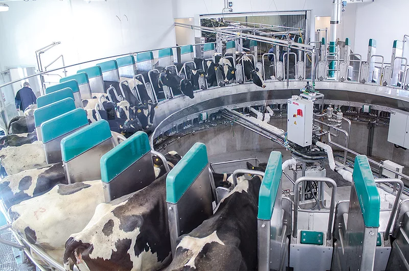 58377-jcoyne-milking-robots-2.jpg 58377-jcoyne-milking-robots-2.jpg