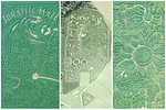 58415-thomas-collage.jpg