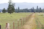 58425-brackett-fence-tyrell.jpg