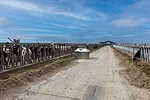 58645-mattox-1.jpg