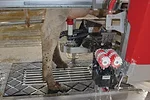 58506-guelker-robotic-milker.jpg