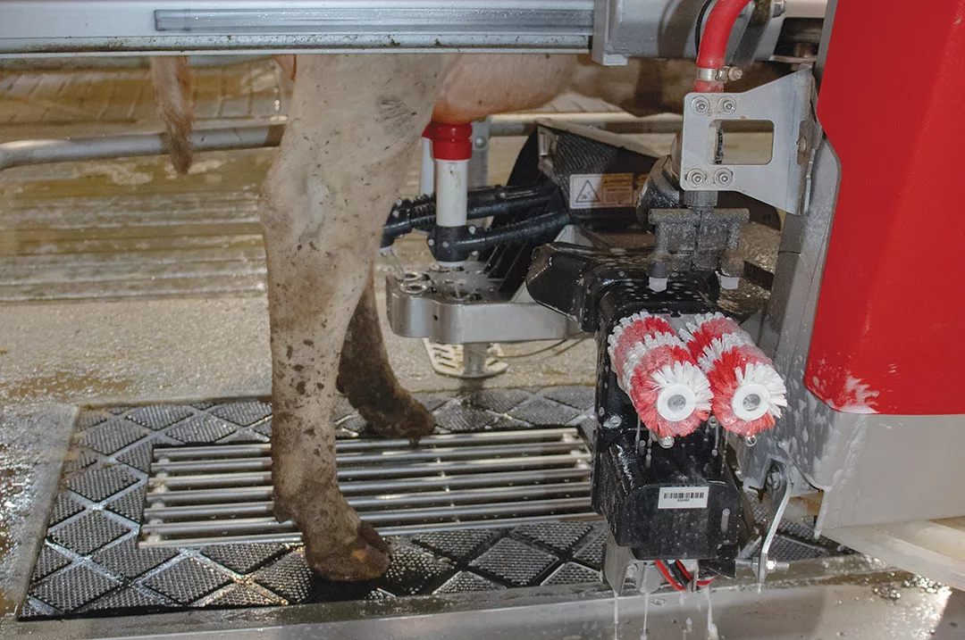 58506-guelker-robotic-milker.jpg