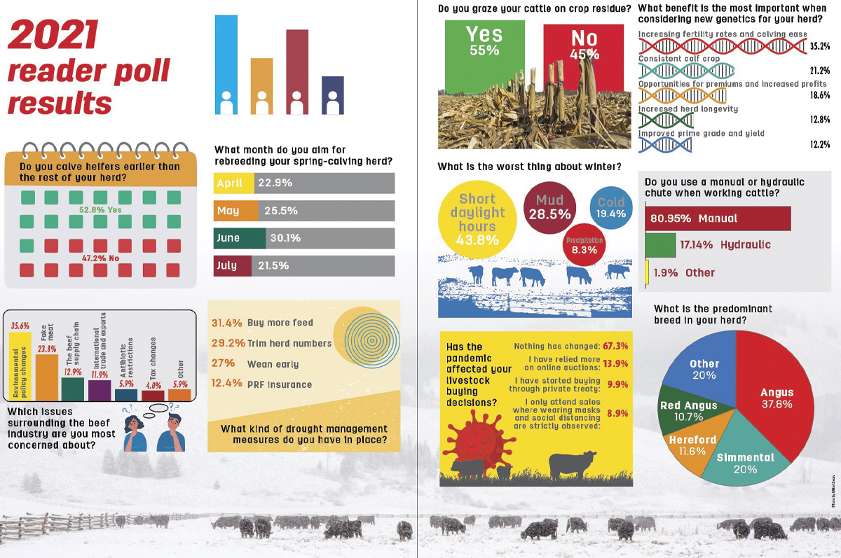 53391-pc-poll.jpg