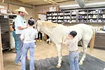 58540-george-img_3250.jpg