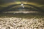 58651-olsen-potato-storage.jpg