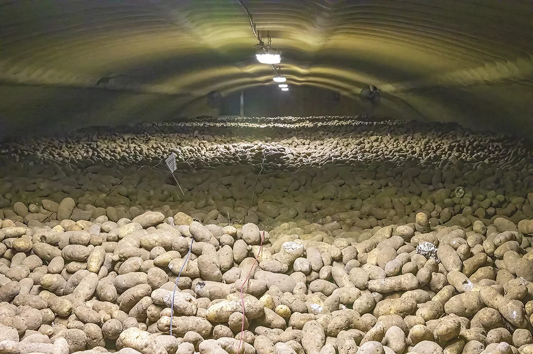 58651-olsen-potato-storage.jpg