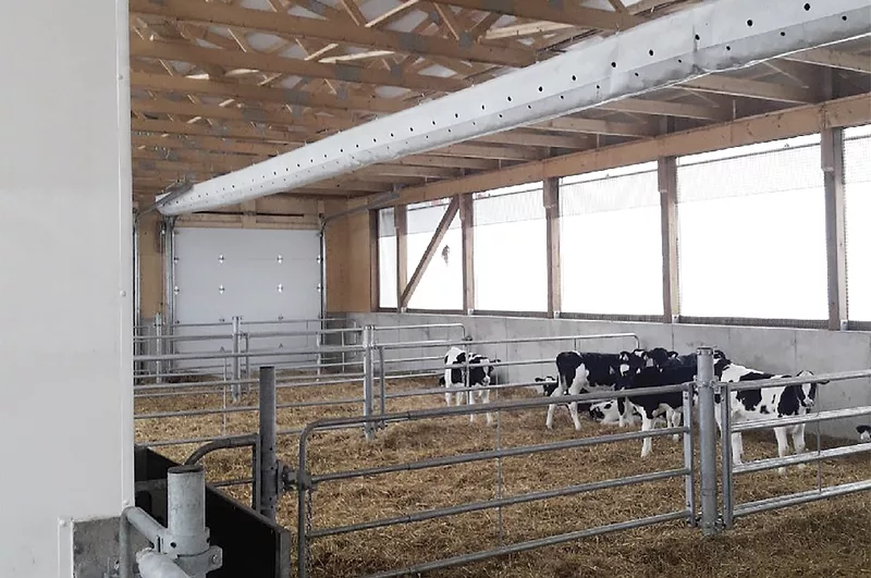 58700-mcbay-calf-barn-1.jpg 58700-mcbay-calf-barn-1.jpg