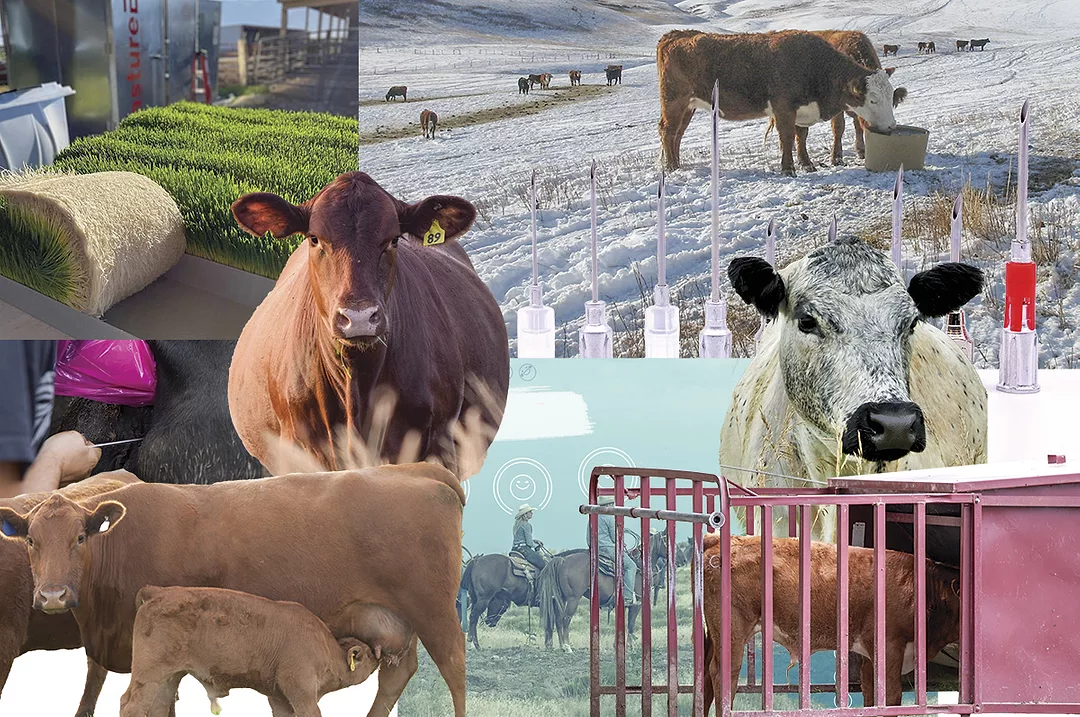 58611-top10-collage.jpg