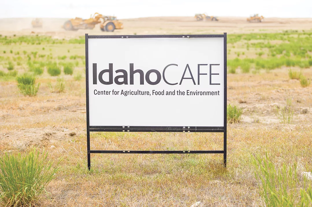 58829-oconnell-cafe-sign.jpg