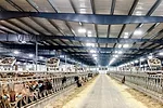 58851-mondaca-1.jpg