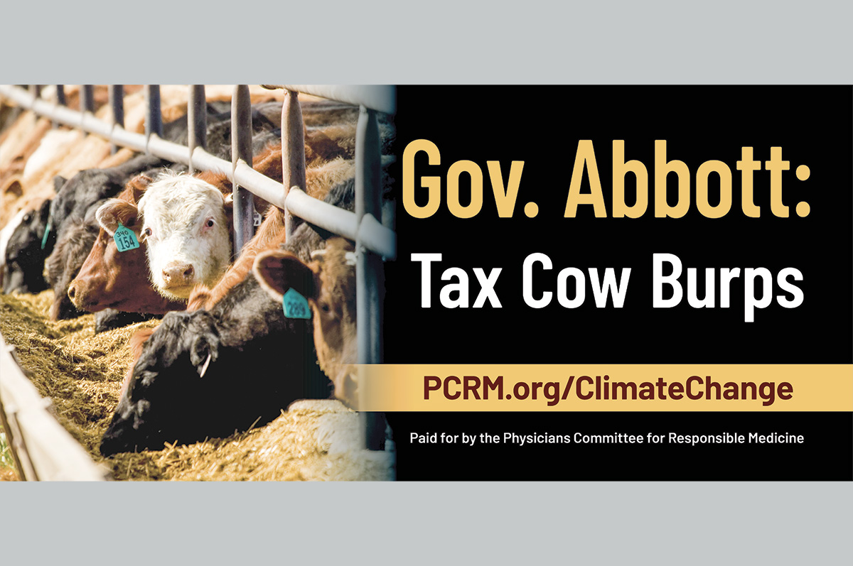 58870-pastis-texas-billboard-1-2-pcrm-gov.-abbott-tax-cow-burps-to-fight-climate-change-billboard[76].jpg
