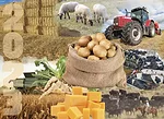 58885-wilder-2024-collage.jpg