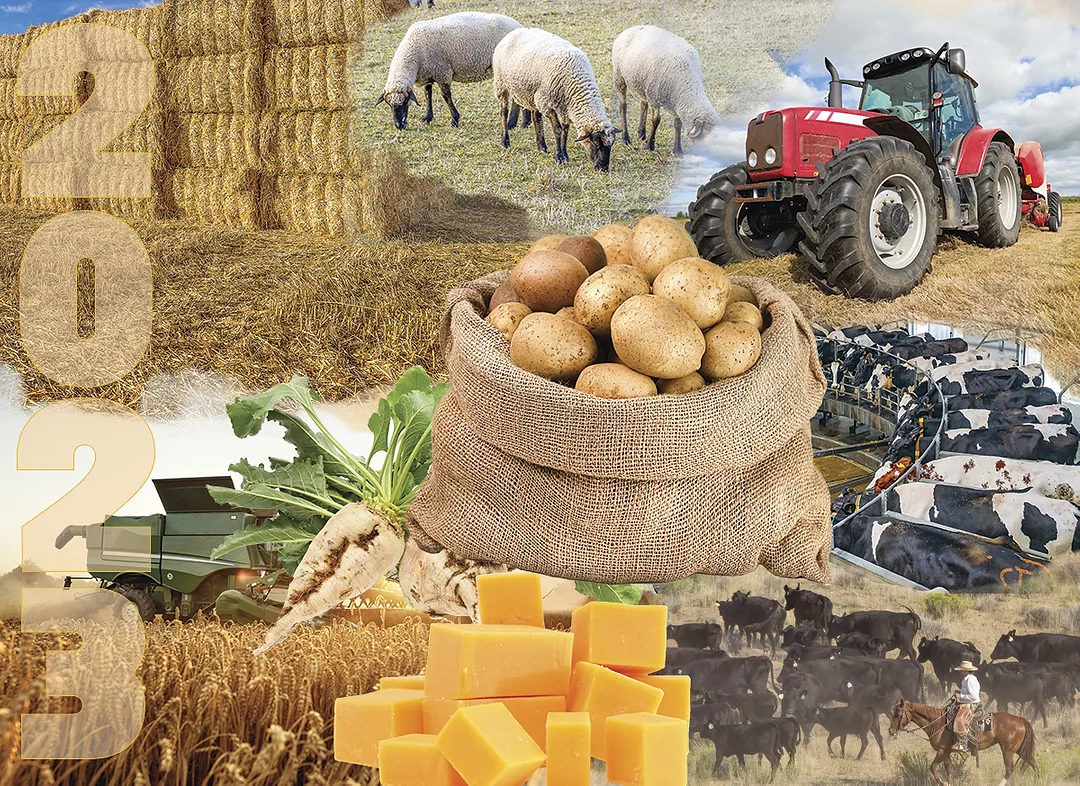58885-wilder-2024-collage.jpg