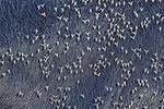 58922-bryant-flies-getty.jpg