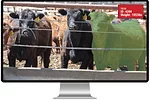 58932-garcia-screen-staff.jpg