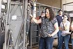 58970-sip-julia-H.2.jpg