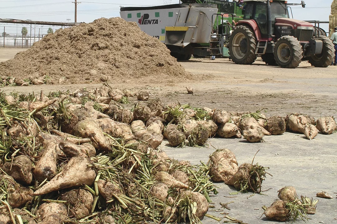58974-lane-beets.jpg