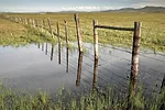 59058-richards-fence.jpg