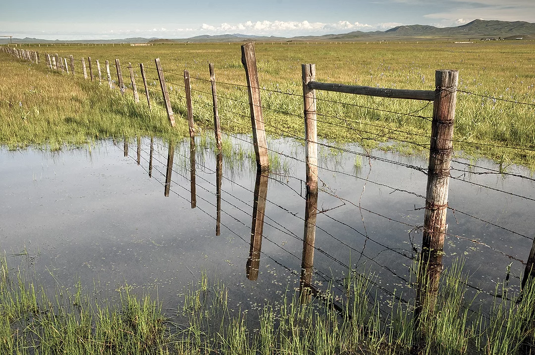 59058-richards-fence.jpg