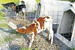 59077-mcbride-IMG_0296.jpg
