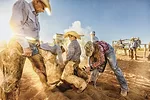 59254-holland-joel-working.jpg